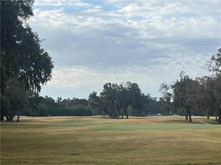 Check out the Gorgeous Golf Views from this sweet homesite on - Beach Lot for sale in Townsend, Georgia on Beachhouse.com