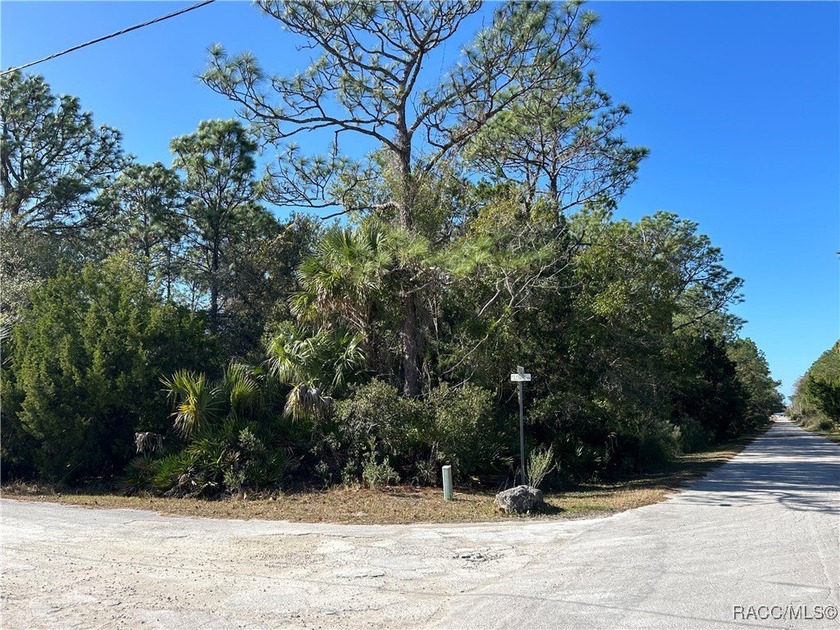 1.05 acres in the heart of Crystal River. Crystal River Village - Beach Lot for sale in Crystal River, Florida on Beachhouse.com