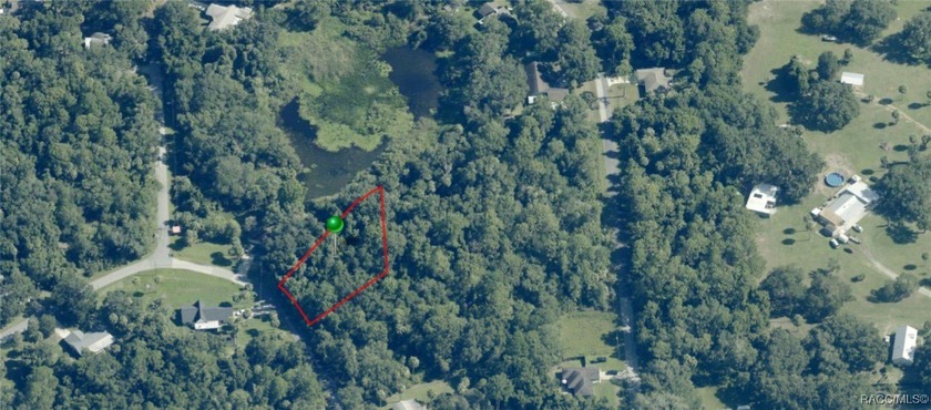 55 acre of land in Cedar Lake Estates. Crystal River Fl - Beach Lot for sale in Crystal River, Florida on Beachhouse.com