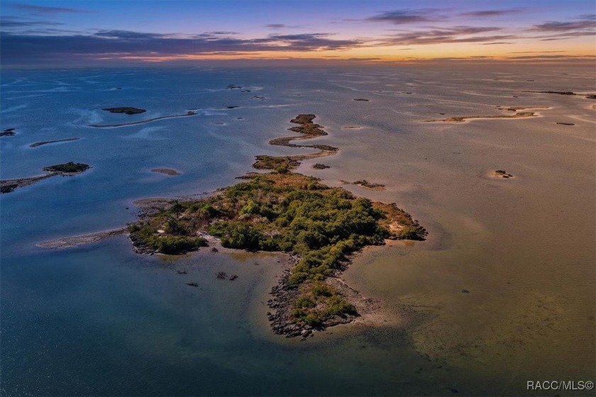 Escape to your own slice of paradise with this rare 4-acre - Beach Acreage for sale in Yankeetown, Florida on Beachhouse.com