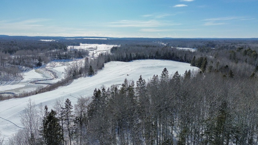 Approximately 25 acres of land, with roughly half of the - Beach Acreage for sale in Harrington, Maine on Beachhouse.com