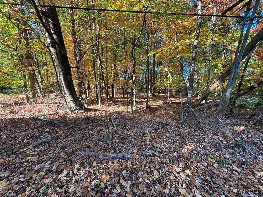 Picturesque wooded lot with beautiful views of 18 mile creek! - Beach Lot for sale in Hamburg, New York on Beachhouse.com