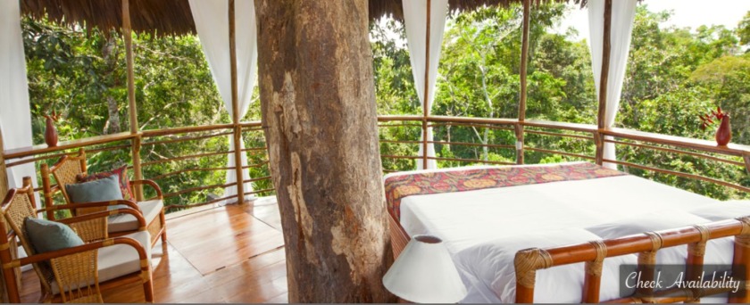 Treehouse 7 Solitude Suite 65ft - Sleeps up to - Beach Vacation Rentals in Iquitos, Loreto, Peru on Beachhouse.com