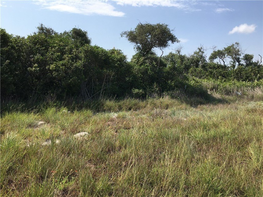 Selling approximately 2.00 acres of raw land that is located - Beach Acreage for sale in Aransas Pass, Texas on Beachhouse.com