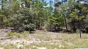 Looking to build your dream home? Look no further-this is a - Beach Lot for sale in Homosassa, Florida on Beachhouse.com