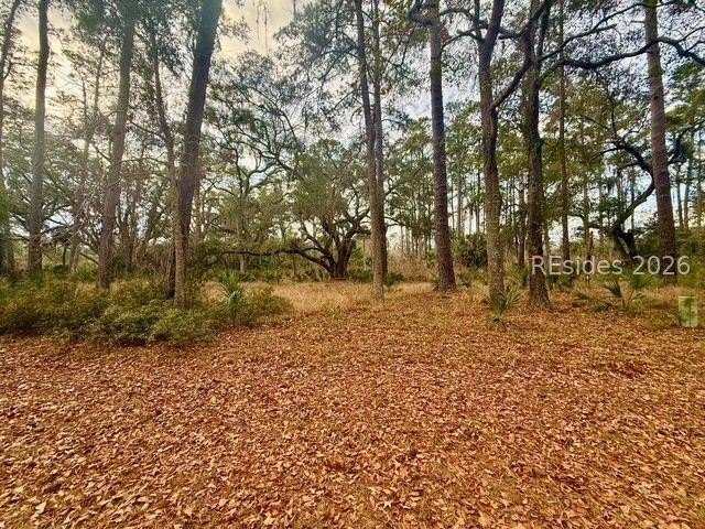 Discover your private paradise on this stunning second-row - Beach Lot for sale in Daufuskie Island, South Carolina on Beachhouse.com