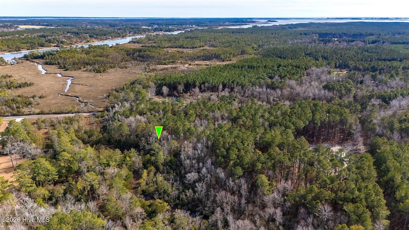Just over 10 acres of beautiful, private land on Hardesty Loop - Beach Acreage for sale in Newport, North Carolina on Beachhouse.com