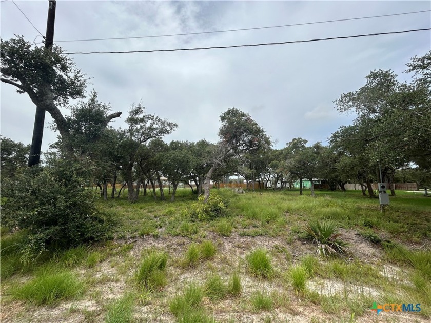 Beautiful .16 Acre lot in Manning Subdivision with mature trees - Beach Lot for sale in Rockport, Texas on Beachhouse.com