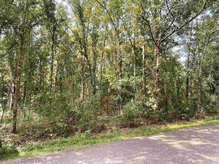 2.43 acres of land with 456 road frontage on Lakeview Drive and - Beach Acreage for sale in Milton, Florida on Beachhouse.com