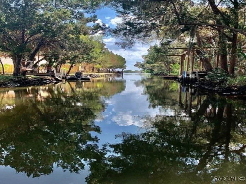 FOR THE WANDERERS WHO ROAM AROUND, AROUND, AROUND.... Wander off - Beach Home for sale in Crystal River, Florida on Beachhouse.com