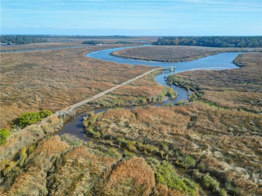 THIS IS AN AMAZING OPPORTUNITY. IF YOU ARE WANTING TO BUILD OWN - Beach Acreage for sale in Darien, Georgia on Beachhouse.com