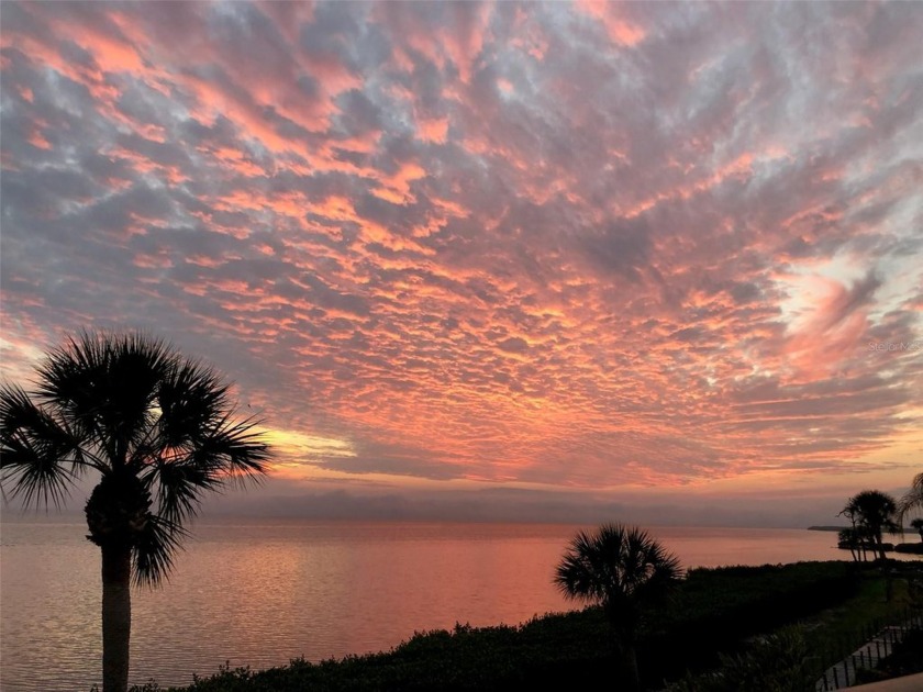 Sunsets galore?  Check.  Beautiful views from almost every room? - Beach Condo for sale in Bradenton, Florida on Beachhouse.com