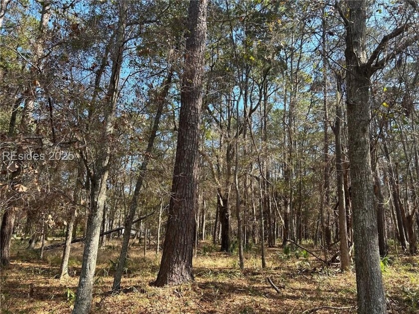 Walk to the beach from this beautifully treed homesite.  High - Beach Lot for sale in Daufuskie Island, South Carolina on Beachhouse.com