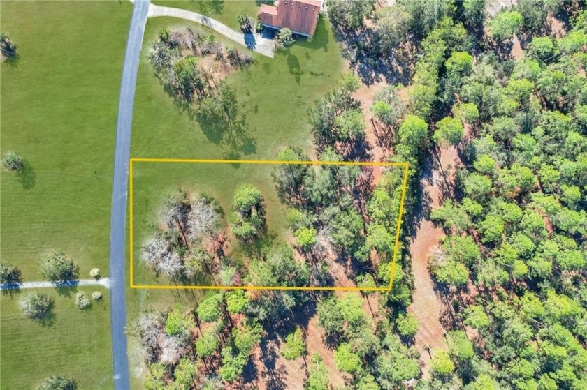 This expansive 1.06-acre homesite is located on the picturesque - Beach Lot for sale in Townsend, Georgia on Beachhouse.com