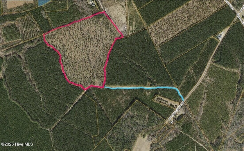 Discover this expansive 80+ acre lot located in the desirable - Beach Acreage for sale in Chocowinity, North Carolina on Beachhouse.com