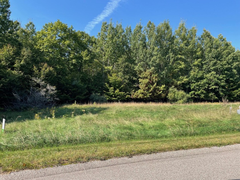 Discover an affordable building lot in the Two Lake town of - Beach Lot for sale in Onekama, Michigan on Beachhouse.com