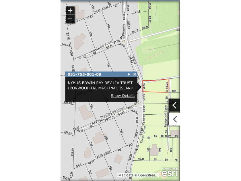 Fabulous undeveloped lot in Stonecliffe Manor condo complex! Lot - Beach Lot for sale in Mackinac Island, Michigan on Beachhouse.com