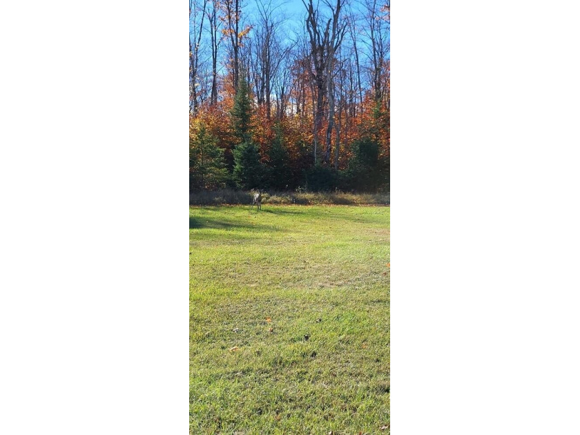 Cleared Lot ready to build your perfect hangar on Bois Blanc - Beach Commercial for sale in Bois Blanc Island, Michigan on Beachhouse.com