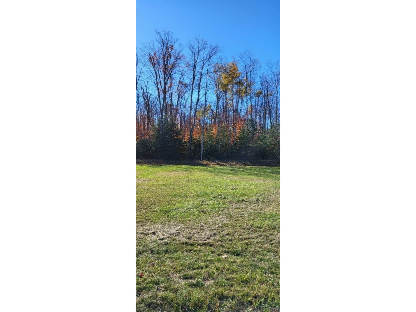 Ready to build your own private hangar at airport 6Y1, 3600 feet - Beach Commercial for sale in Bois Blanc Island, Michigan on Beachhouse.com