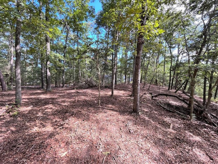 :Beautiful wooded lot located in an established boating - Beach Lot for sale in Machipongo, Virginia on Beachhouse.com
