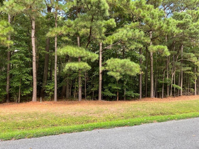 LOOKING FOR PRIVACY WITHIN A STONE'S THROW  TO THE CHESAPEAKE - Beach Lot for sale in Exmore, Virginia on Beachhouse.com