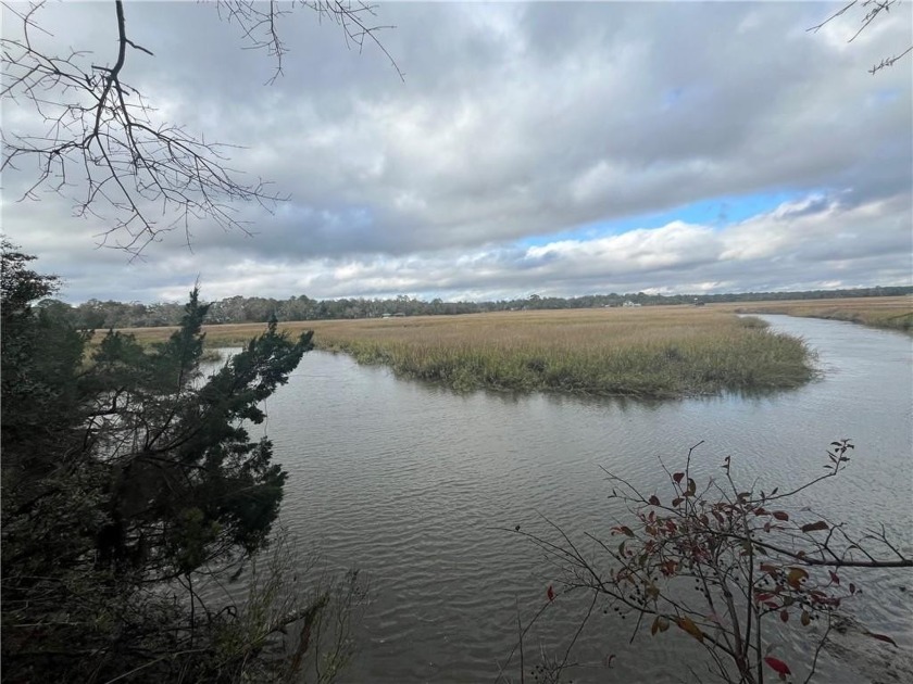 Come See the Stunning Views from this  Over-an-Acre  Marsh-Front - Beach Lot for sale in Darien, Georgia on Beachhouse.com