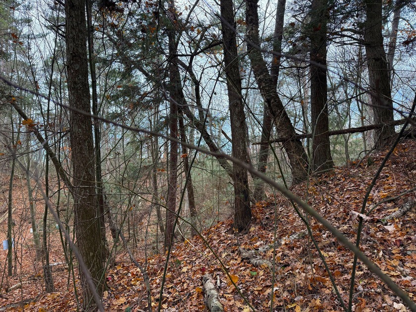 This is a very unique property so let your imagination wander! - Beach Lot for sale in Saint Ignace, Michigan on Beachhouse.com