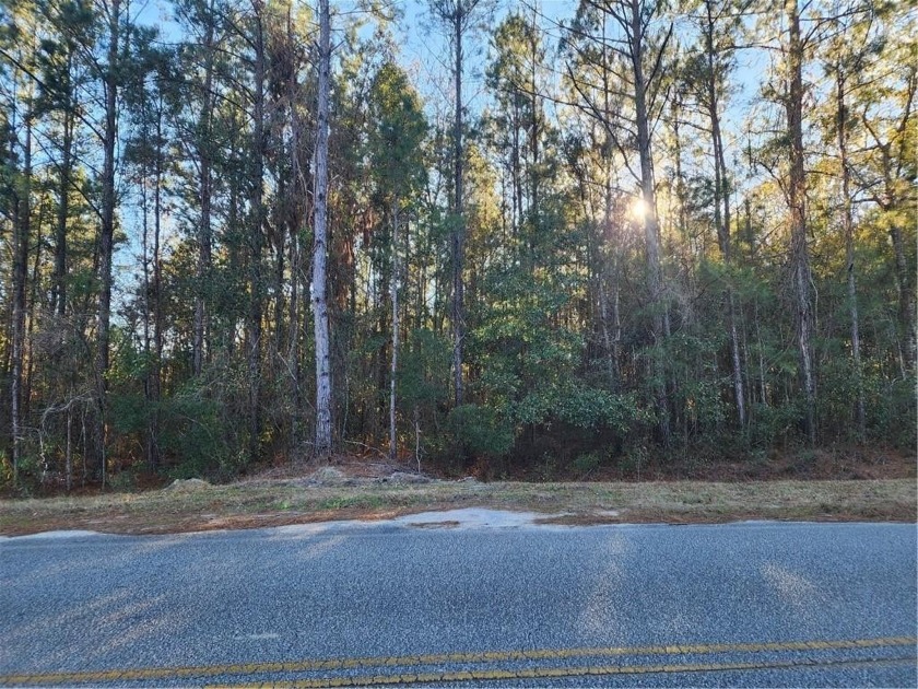 Beautiful wooded  4.5-acre tract nestled in a country-type - Beach Acreage for sale in Brunswick, Georgia on Beachhouse.com