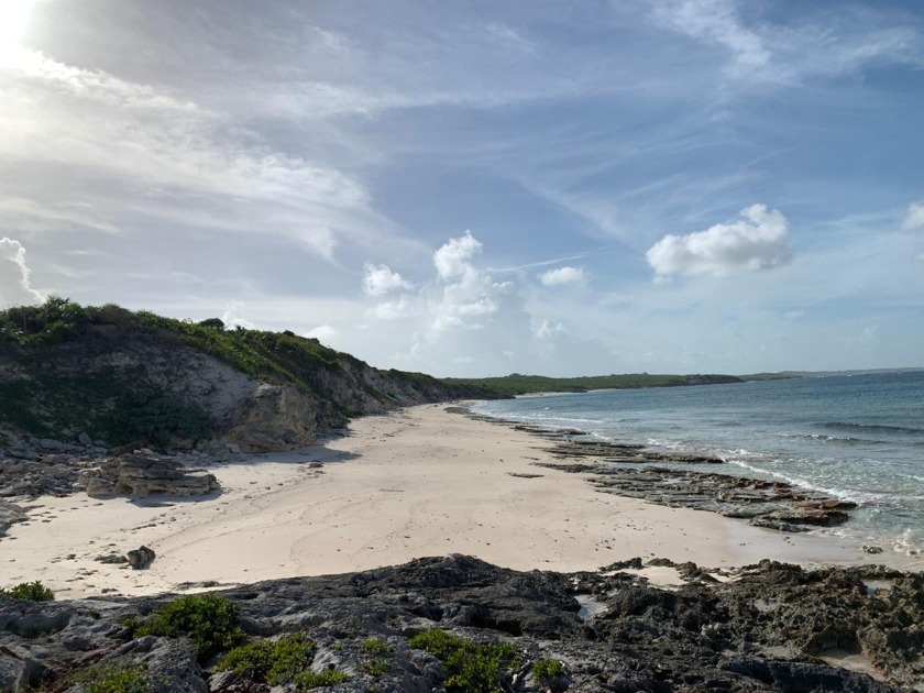 Stunning ocean views from this oceanfront property located in - Beach Lot for sale in Turnbull,  on Beachhouse.com