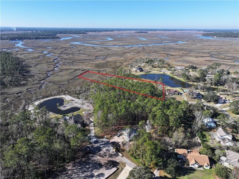 STUNNING MARSH & RIVER VIEWS AWAIT YOU FROM THIS 3.85 ACRE HOME - Beach Acreage for sale in Saint Marys, Georgia on Beachhouse.com