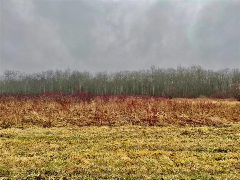 Check out this 6 acre corner parcel with woods and fields - Beach Acreage for sale in Pulaski, New York on Beachhouse.com