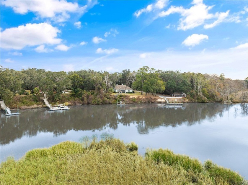 Own your very own piece of deep-water paradise, just a short - Beach Home for sale in Darien, Georgia on Beachhouse.com