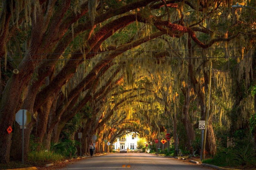 Extra wide corner lot on one of the most beautiful streets in - Beach Lot for sale in St Augustine, Florida on Beachhouse.com