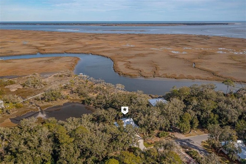 Welcome HOME to a picturesque OASIS boasting marsh and water - Beach Home for sale in Saint Marys, Georgia on Beachhouse.com