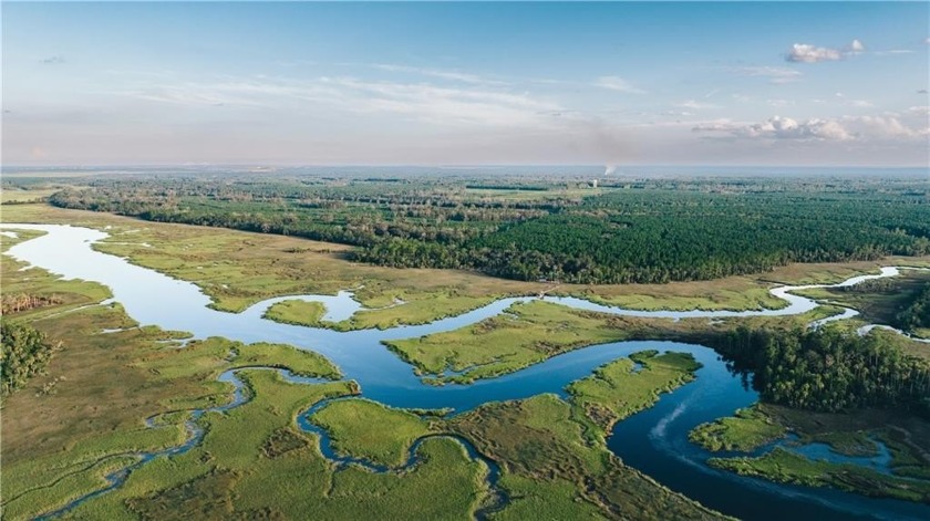 Dover Hall is a breathtaking slice of Heaven on Earth - Beach Acreage for sale in Brunswick, Georgia on Beachhouse.com