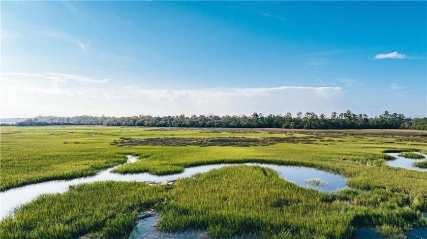 Dover Hall is a breathtaking slice of Heaven on Earth - Beach Acreage for sale in Brunswick, Georgia on Beachhouse.com