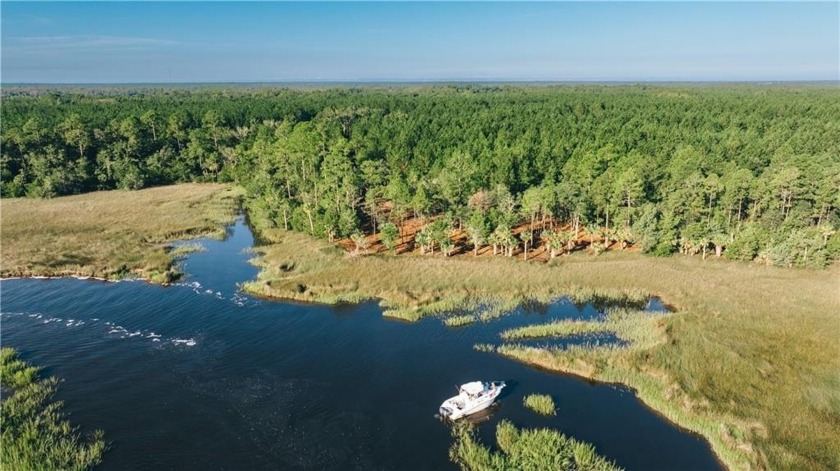 Tract 8 is a 240 acre Recreational Easemenet with a 13 acre Out - Beach Acreage for sale in Brunswick, Georgia on Beachhouse.com