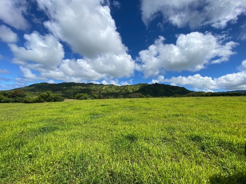 Imagine your future home site located on 32 spectacular acres on - Beach Acreage for sale in Kilauea, Hawaii on Beachhouse.com