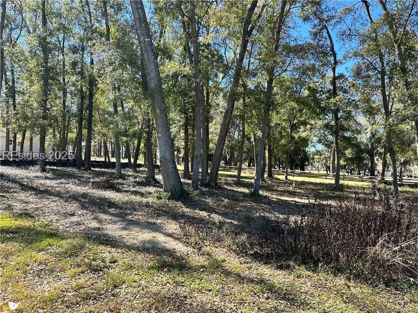 LAST AVAILABLE PARK FRONT LOT IN WHITEHALL POINT! 
Seize the - Beach Lot for sale in Beaufort, South Carolina on Beachhouse.com