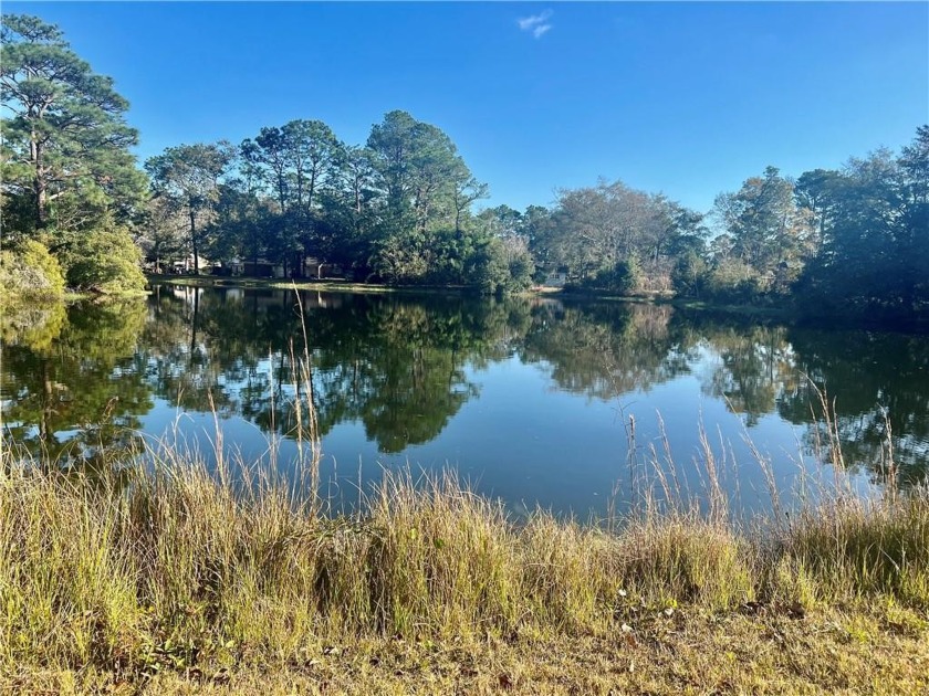 Established neighborhood in great location with water view! - Beach Lot for sale in Mobile, Alabama on Beachhouse.com