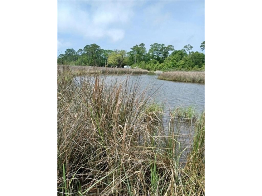 Awesome deal on a 11.7 +/- acres with direct water front on - Beach Acreage for sale in Coden, Alabama on Beachhouse.com