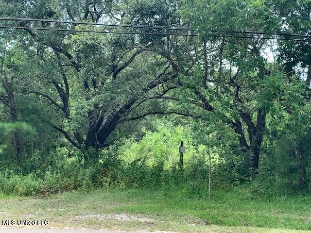 Are you looking to build a family home or a weekend get-a-away? - Beach Lot for sale in Bay Saint Louis, Mississippi on Beachhouse.com