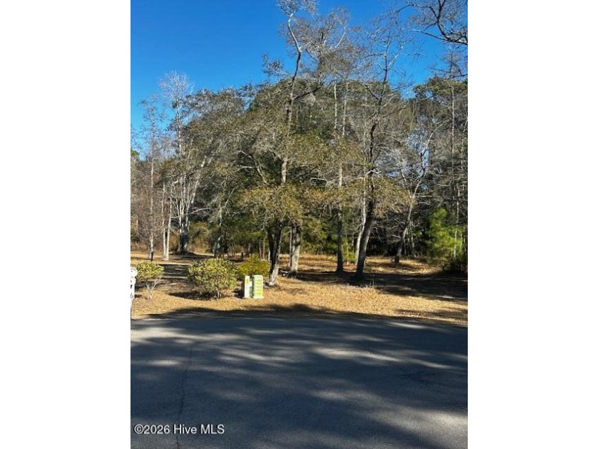 Welcome to 141 Eagle Court SW, a spacious 0.366-acre homesite - Beach Lot for sale in Supply, North Carolina on Beachhouse.com