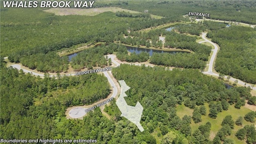 Presenting a premier opportunity in the coveted Bridge Pointe - Beach Lot for sale in Waverly, Georgia on Beachhouse.com