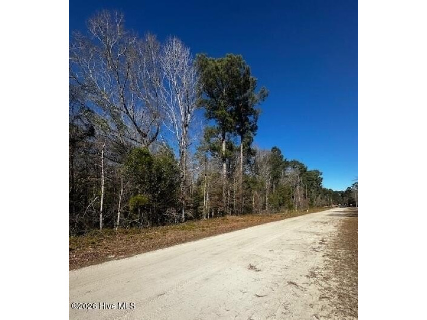 Build Your Coastal Retreat in Sherrow Estates! Welcome to 289 - Beach Lot for sale in Supply, North Carolina on Beachhouse.com