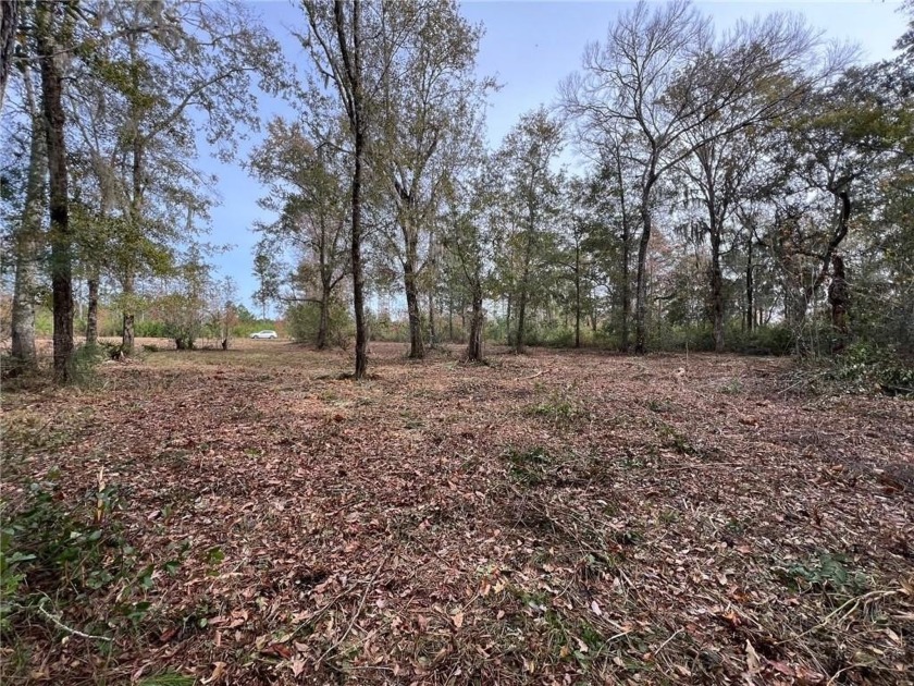 BACK ON THE MARKET! LARGE, MARSHFRONT LOT! 1.02 acres, partially - Beach Lot for sale in Brunswick, Georgia on Beachhouse.com