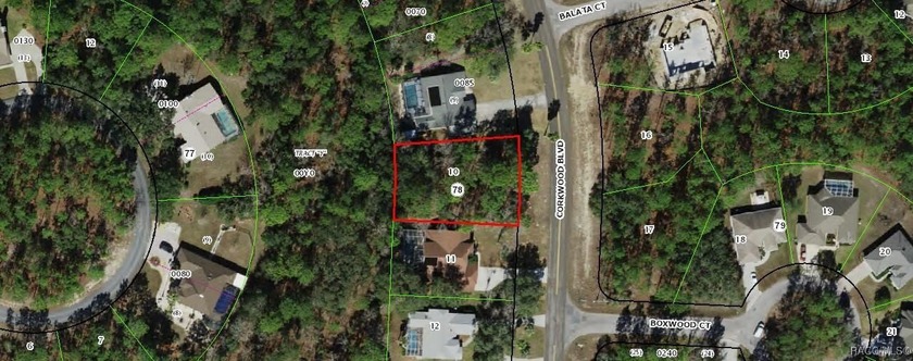 Great estate sized 107 x 150 foot lot on .34 acres to build your - Beach Lot for sale in Homosassa, Florida on Beachhouse.com