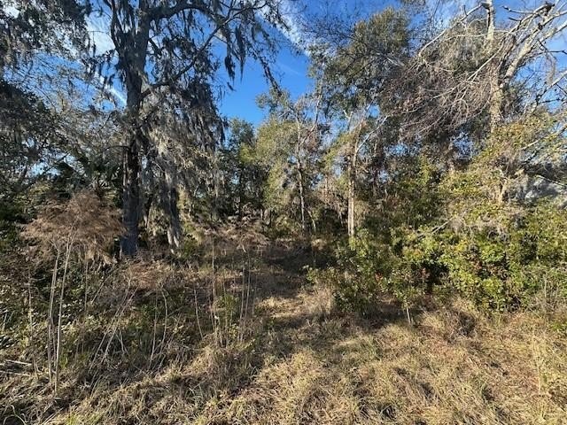 Lake views are great to wake up to. This beautiful lot will make - Beach Lot for sale in Waverly, Georgia on Beachhouse.com
