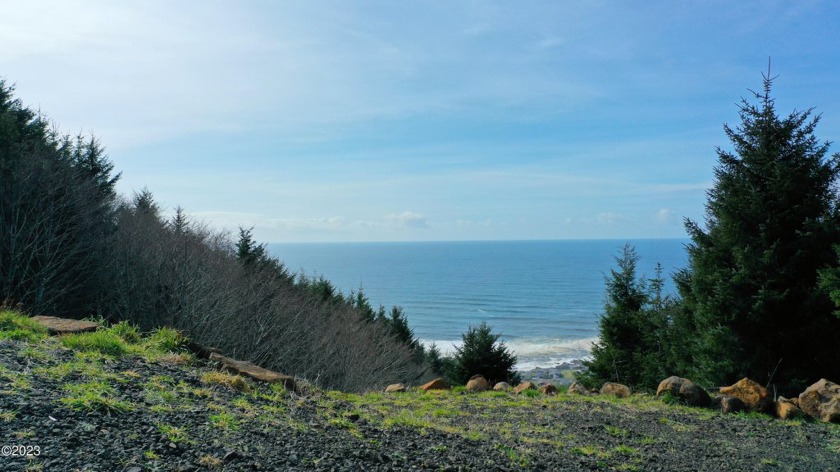 SPECTACULAR OCEAN VIEW from this larger 0.43 acre lot in Black - Beach Lot for sale in Yachats, Oregon on Beachhouse.com