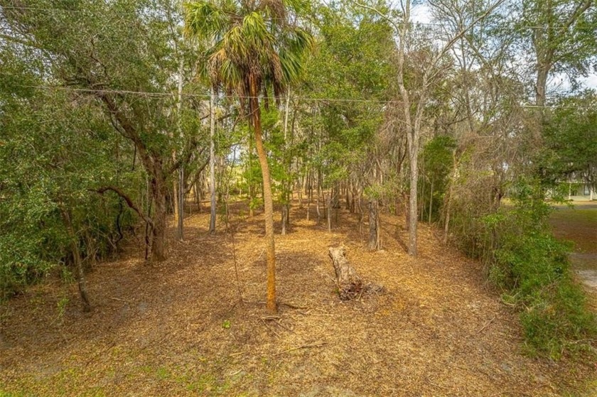Beautiful Marsh front lot 1.80 acres easterly where you will - Beach Lot for sale in Brunswick, Georgia on Beachhouse.com